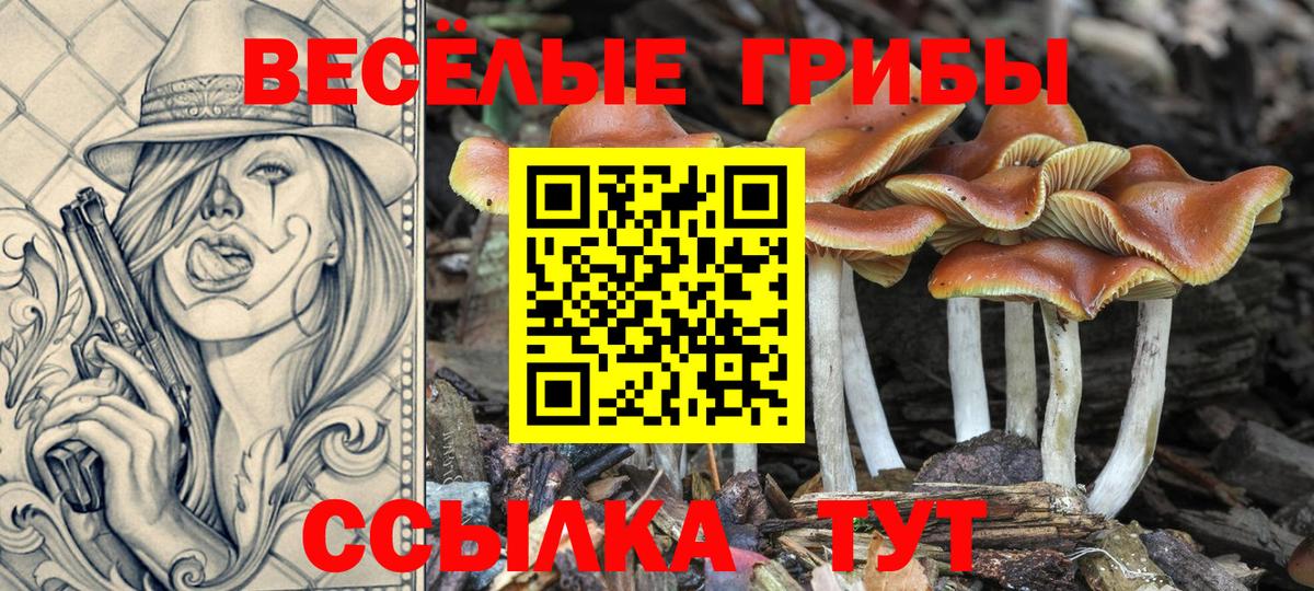 Сочи  Псилоцибиновые грибы Magic Shrooms  Вход с VPN 